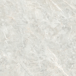 HYC8124（C81B24）