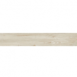 BJY2012R065