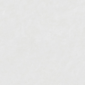 BG80PJ169